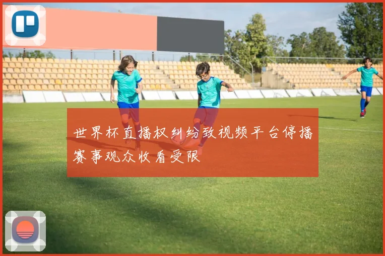 世界杯直播权纠纷致视频平台停播赛事观众收看受限