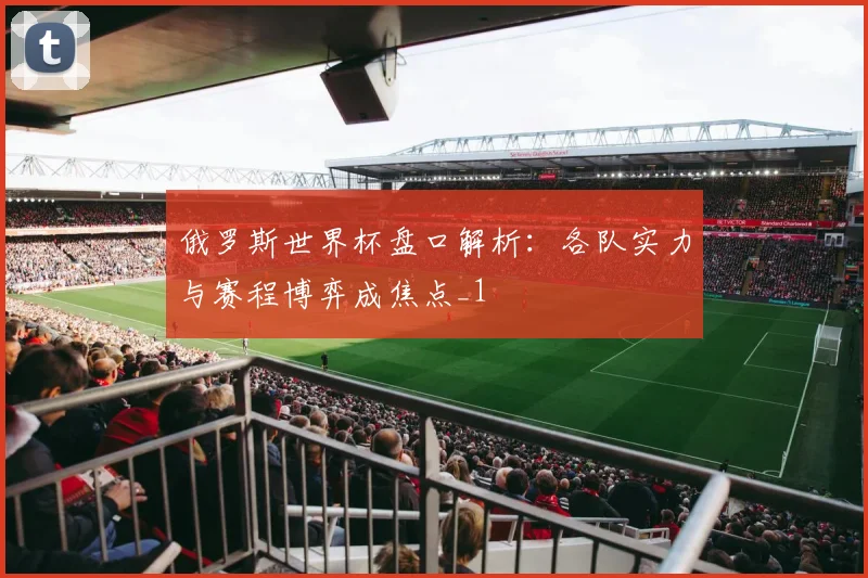 俄罗斯世界杯盘口解析:各队实力与赛程博弈成焦点_1