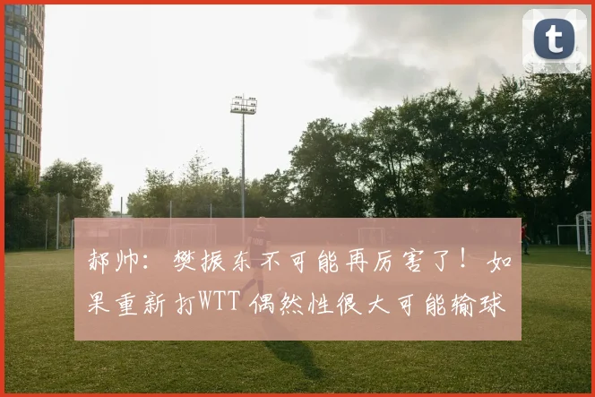 郝帅:樊振东不可能再厉害了!如果重新打WTT 偶然性很大可能输球