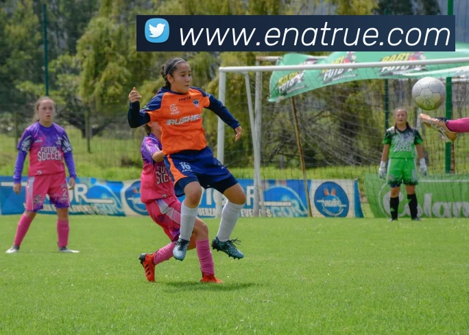平台展示图